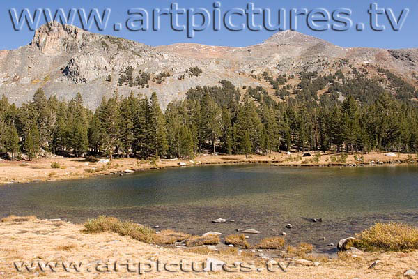 yosemite tioga pass