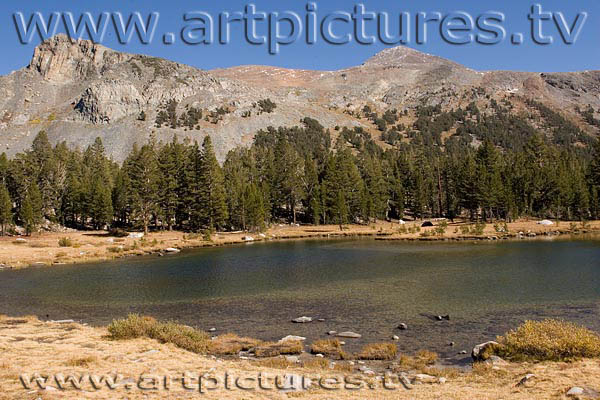 yosemite tioga pass