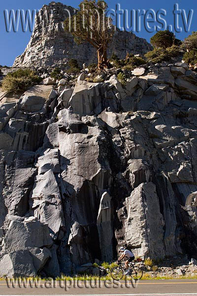 yosemite tioga pass