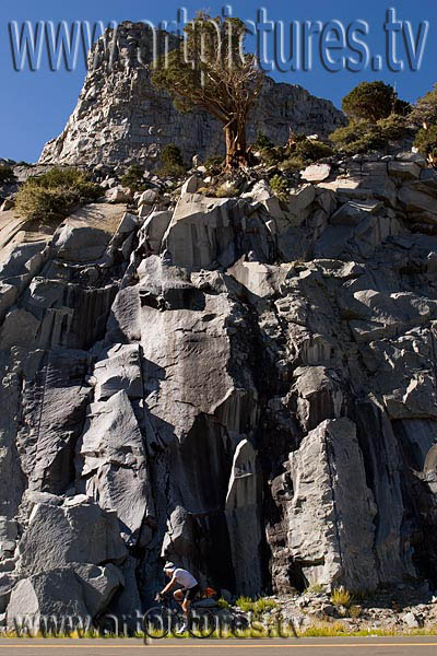 yosemite tioga pass
