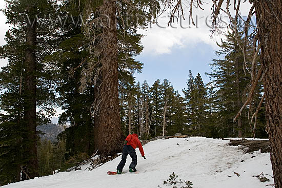 ski snowboading Images From Mammoth Lakes