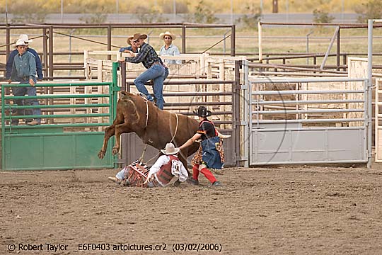 Horse rodeo bishop