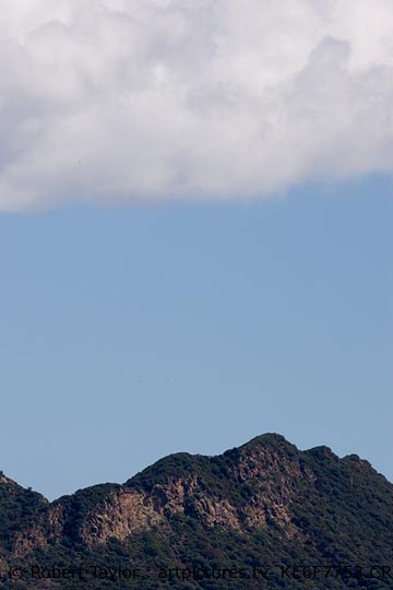 images from agoura hills