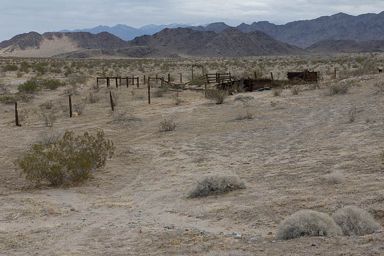 Jeeps go wheeling in the Mojave Desert 4x4