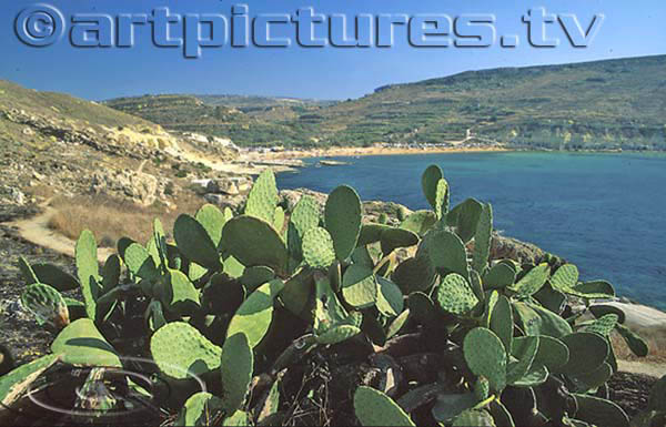 malta gozo