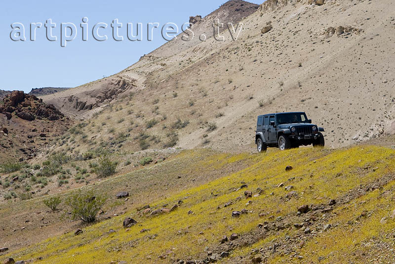 Jeep Wrangler Mojave