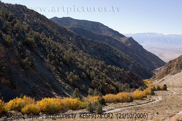 landscapes | Silver Canyon