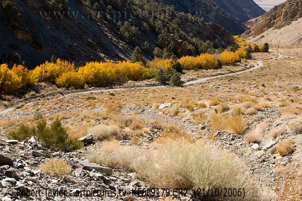 landscapes | Silver Canyon
