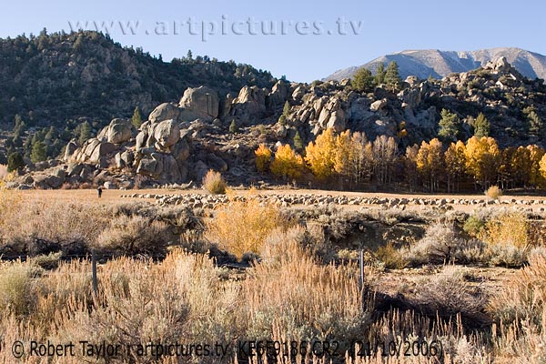 landscapes | Wheeler <br />
Crest