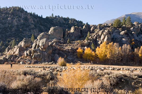 landscapes | Wheeler <br />
Crest