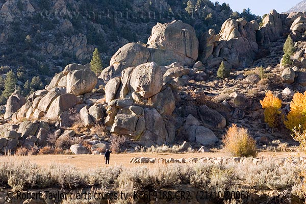 landscapes | Wheeler <br />
Crest