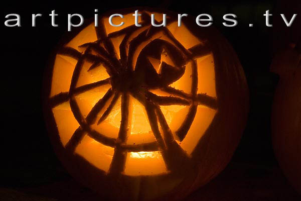 halloween at jenns