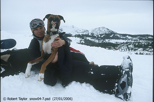 Ski snowboard mammoth lakes ca