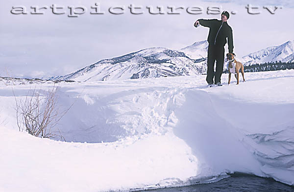 Various images