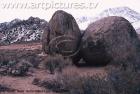 artpictures photography