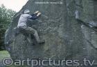 art pictures