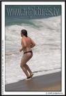laguna surf and skim boarding