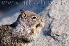 Yosemite ke6f6770
