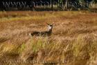yosemite ke6f6576