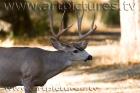 yosemite ke6f6611
