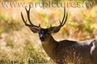 yosemite ke6f6612