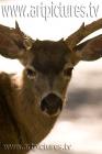 yosemite ke6f6634