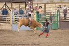 artpictures photography