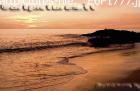 images art