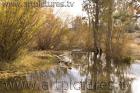 artpictures e6f0745