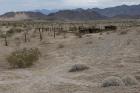 artpictures mojave jeep ke6f1462