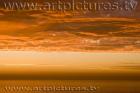 images art