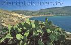 malta3